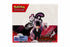 POKEMON DISPLAY 36 BUSTINE - RIVALI PREDESTINATI (ITA)